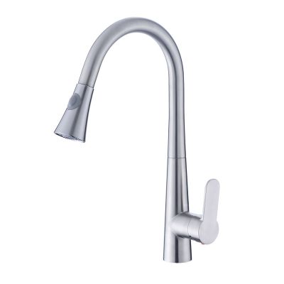 Brushed Nickel Kitchen Sink Faucet with Pull Down Sprayer